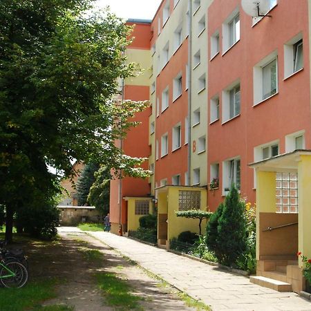 Mieszkanie Jelitkowo Гданск Екстериор снимка